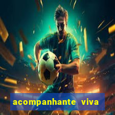 acompanhante viva local baixada fluminense